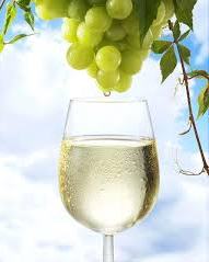 Your Local Chauffeur: SOLOS SPECIAL: Full Day Wine Gourmet and Scenic Delights Tour from Blenheim — Marlborough - Photo 2